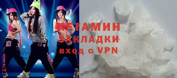 шишки Инсар