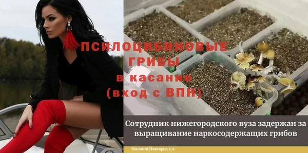 не бодяженный Зеленокумск