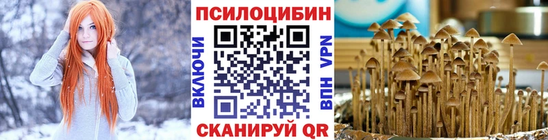 Купить закладки  Усть-Илимск  Галлюциногенные грибы Psilocybe 